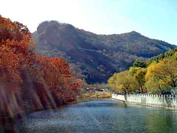 新澳天天开奖资料大全旅游团，黑帽seo教学